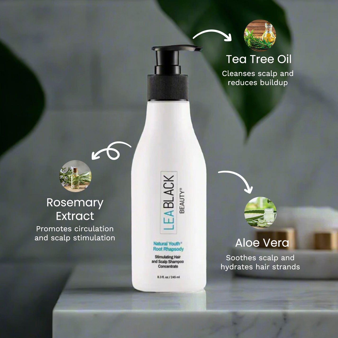 Lea Black Beauty® Natural Youth® Root Rhapsody Stimulating Hair and Scalp Shampoo Concentrate